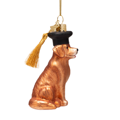 Ornament aus Glas: Hund mit Doktorhut, Höhe 10 cm
