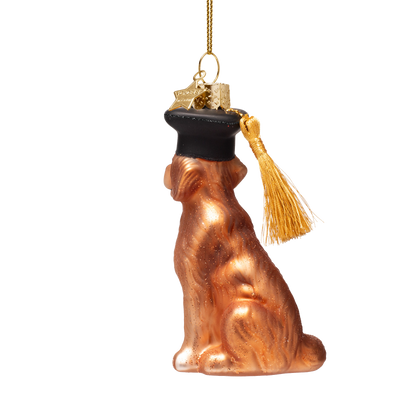 Ornament aus Glas: Hund mit Doktorhut, Höhe 10 cm