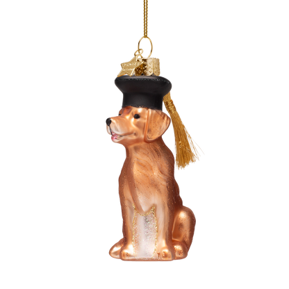 Ornament aus Glas: Hund mit Doktorhut, Höhe 10 cm